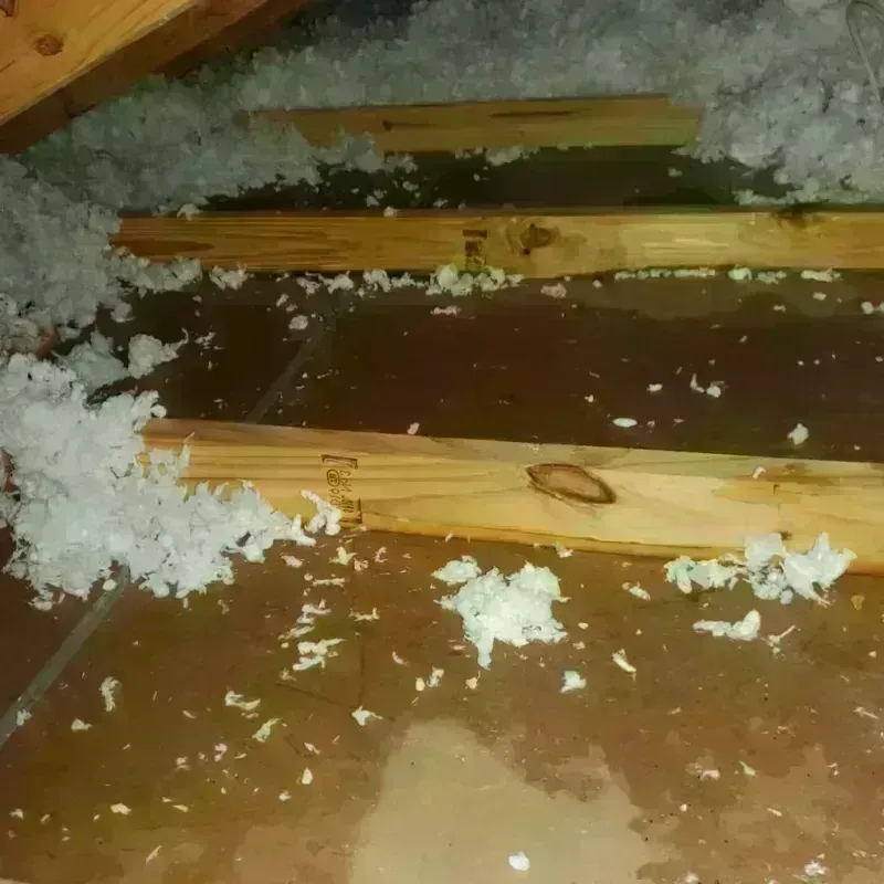 Attic Water Damage in Ardmore, OK