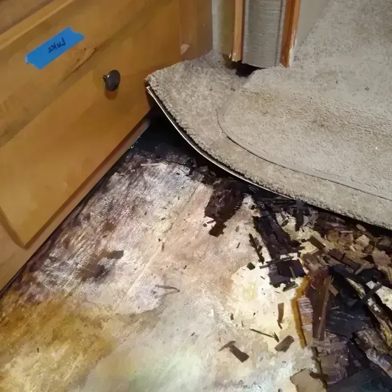 Wood Floor Water Damage in Ardmore, OK